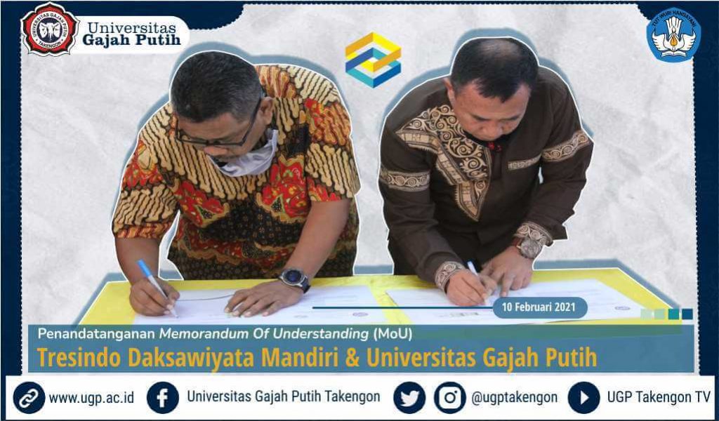 tdm web